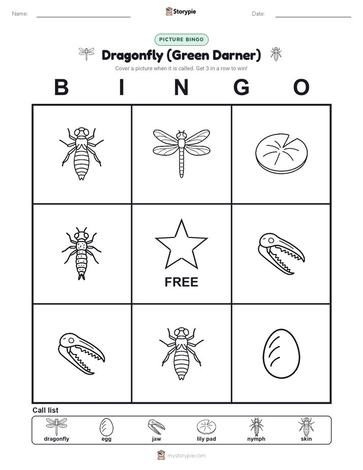Picture Bingo
