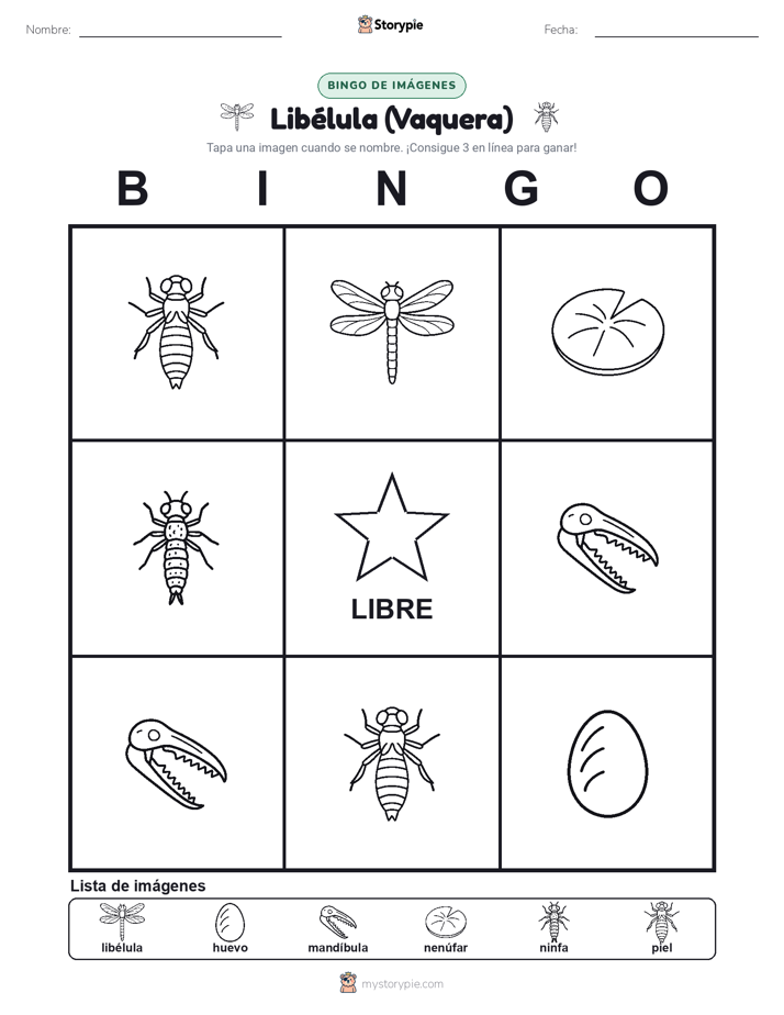 Bingo de Imágenes