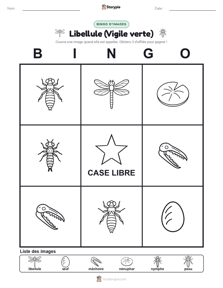 Bingo d'Images