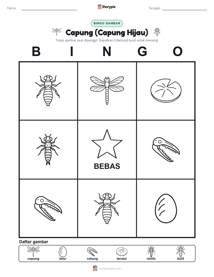 Bingo Gambar