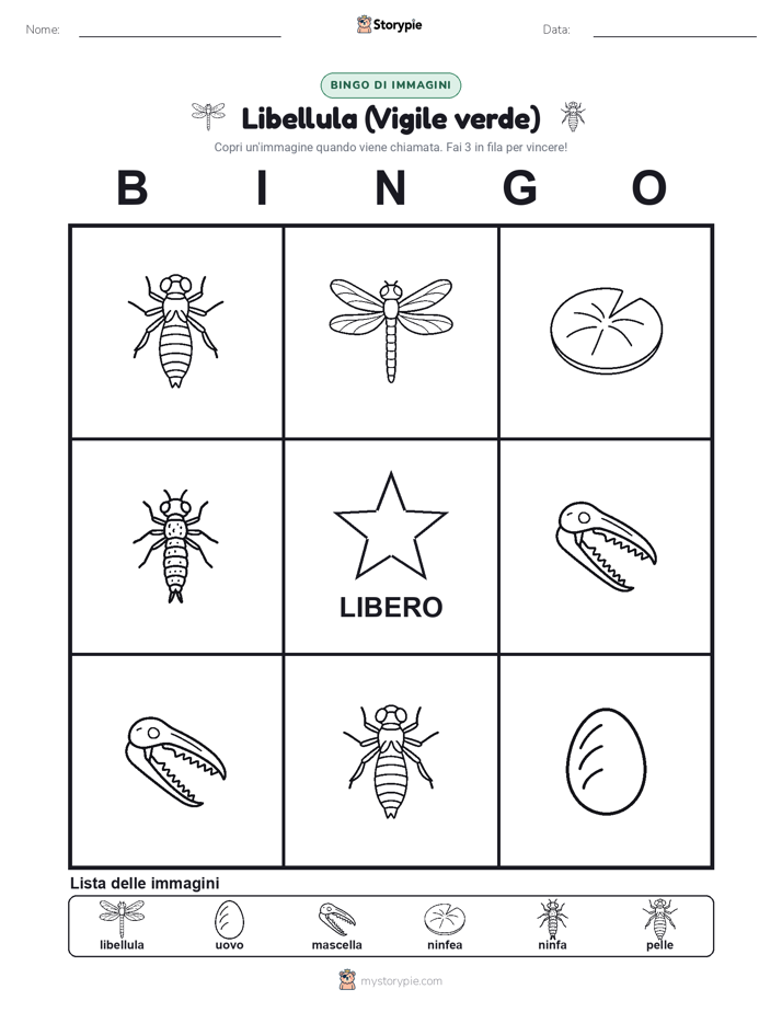 Bingo delle Immagini