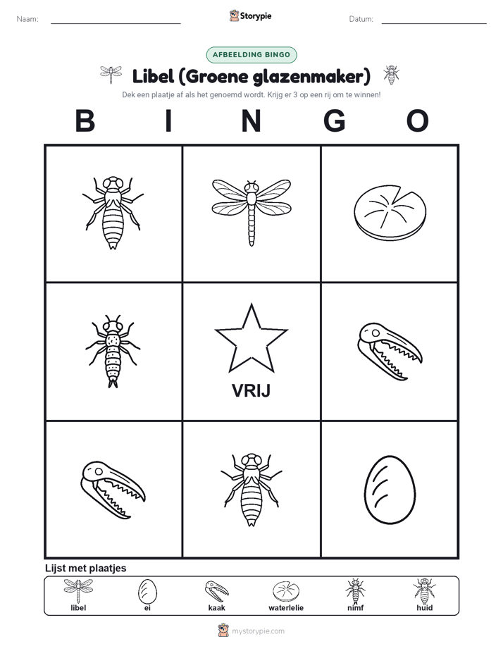 Afbeelding Bingo