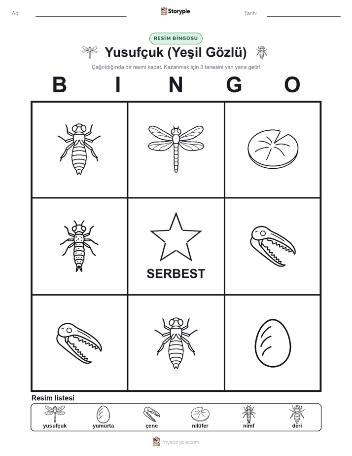 Resim Bingo
