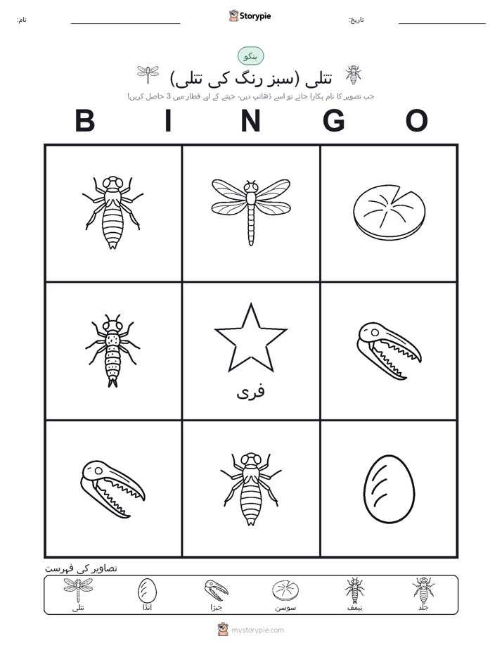 تصویری بنگو