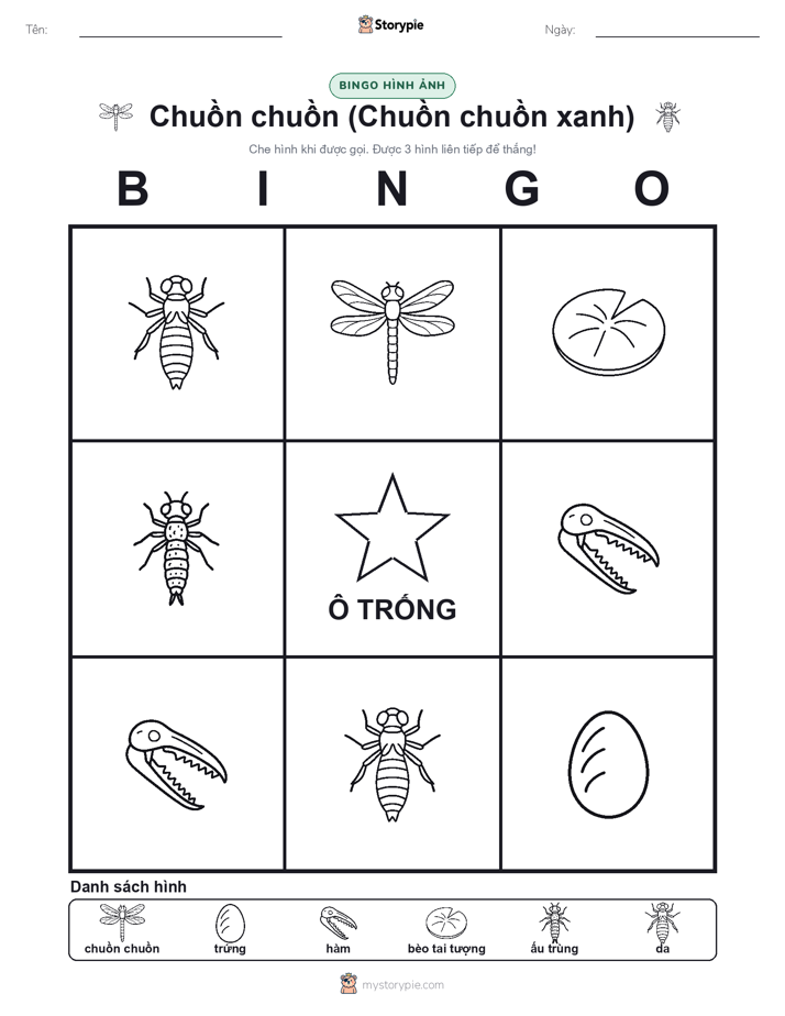 Bingo Hình Ảnh