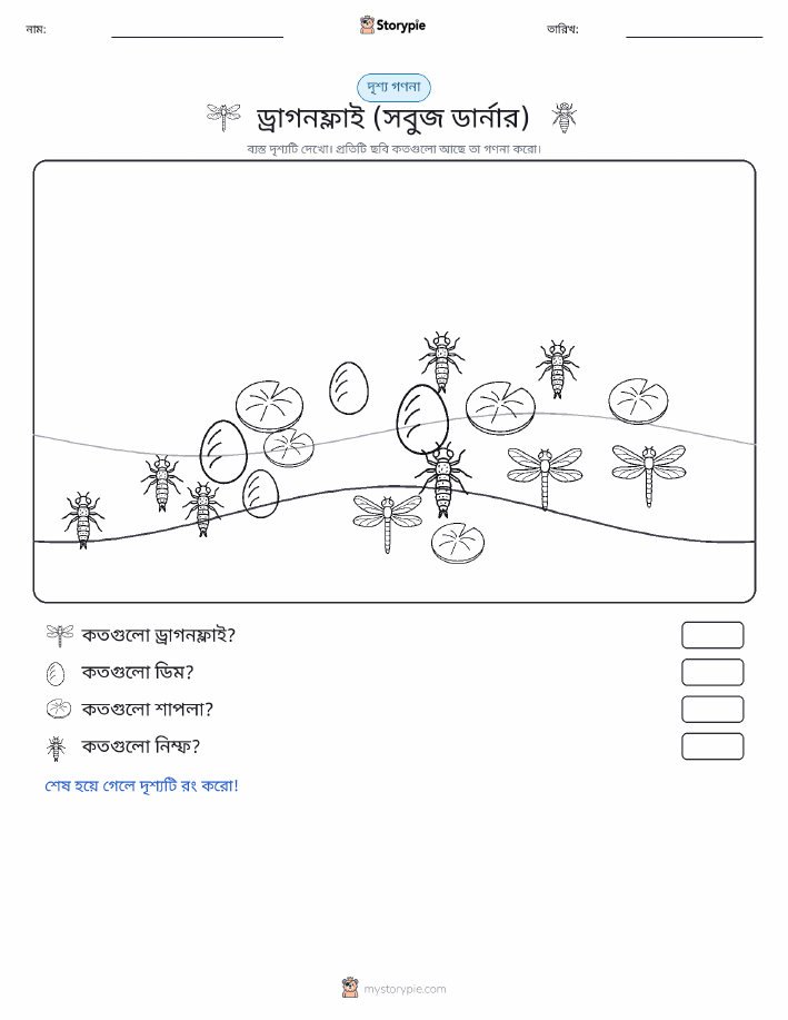 গণনা দৃশ্য