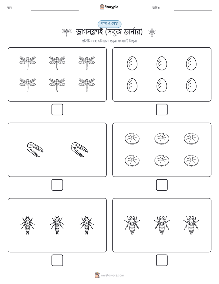 গণনা & লিখুন