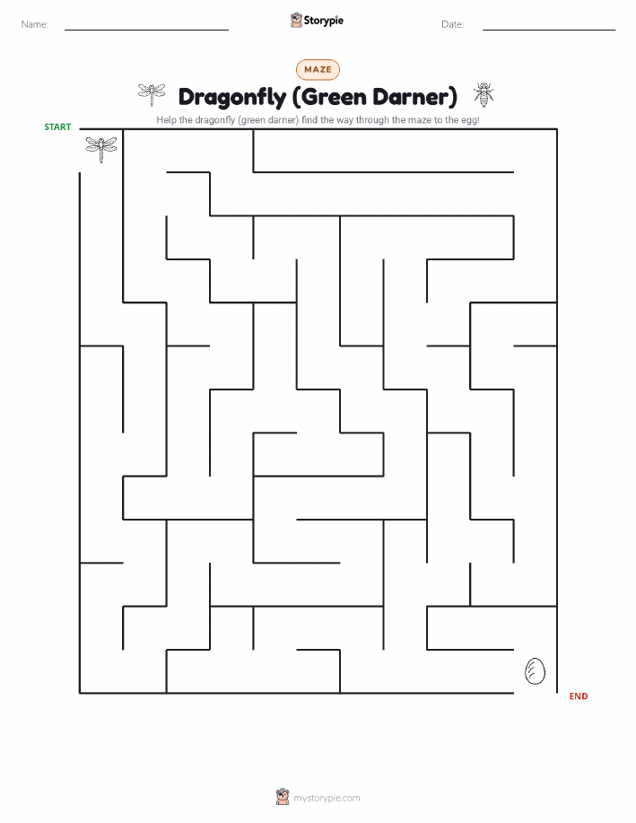Maze