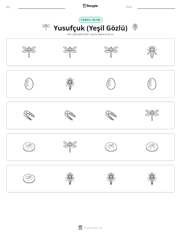 Farklı Olanı Bul
