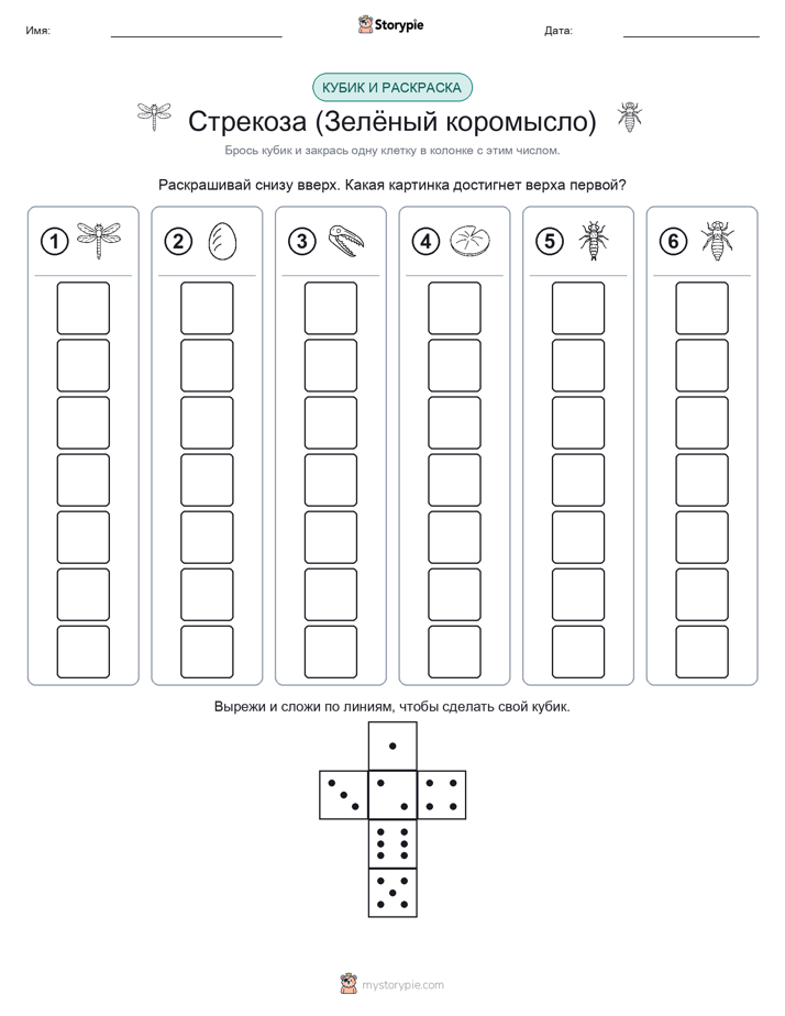 Катать и раскрашивать