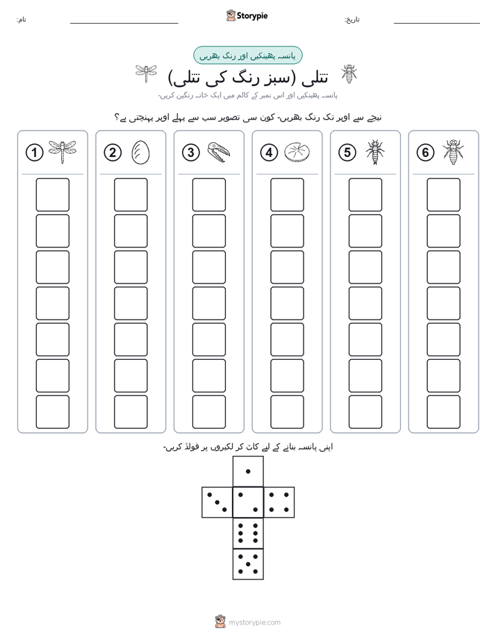 رول اور رنگ