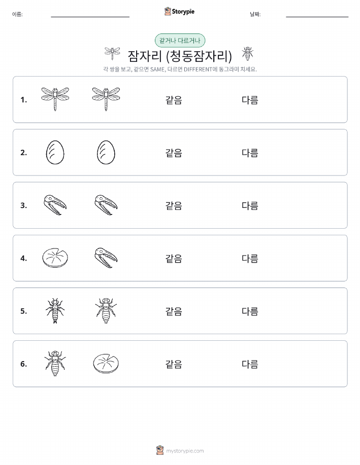 같은 것 또는 다른 것