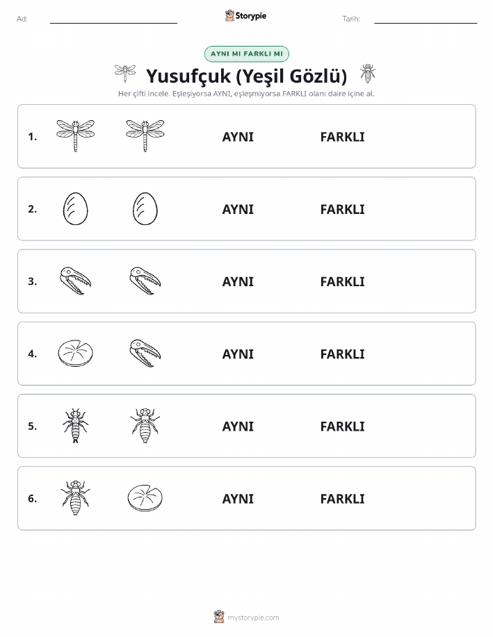 Aynı mı Farklı mı