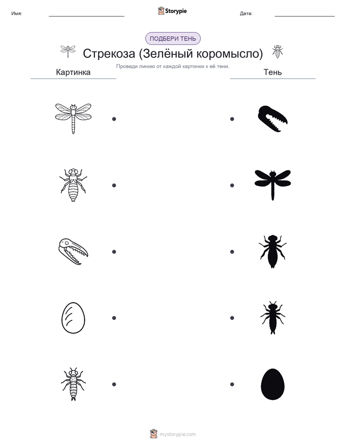 Сопоставление теней