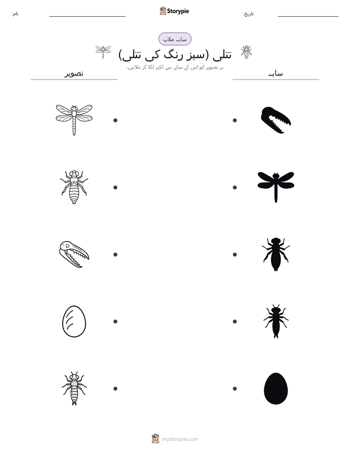 سایہ ملائیں