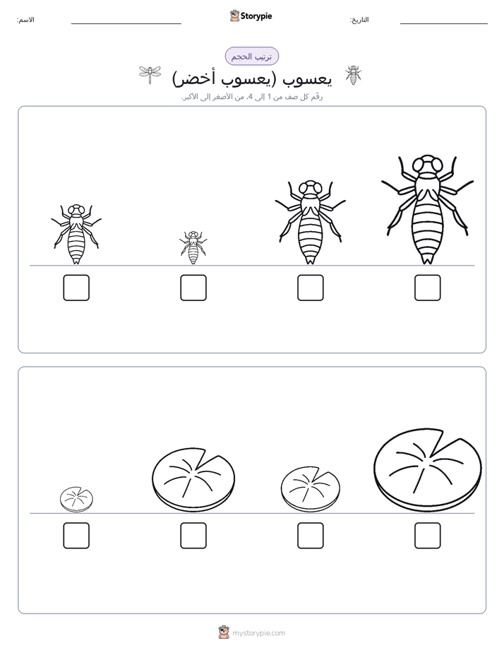 ترتيب الحجم