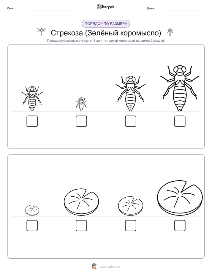 Размеры в порядке