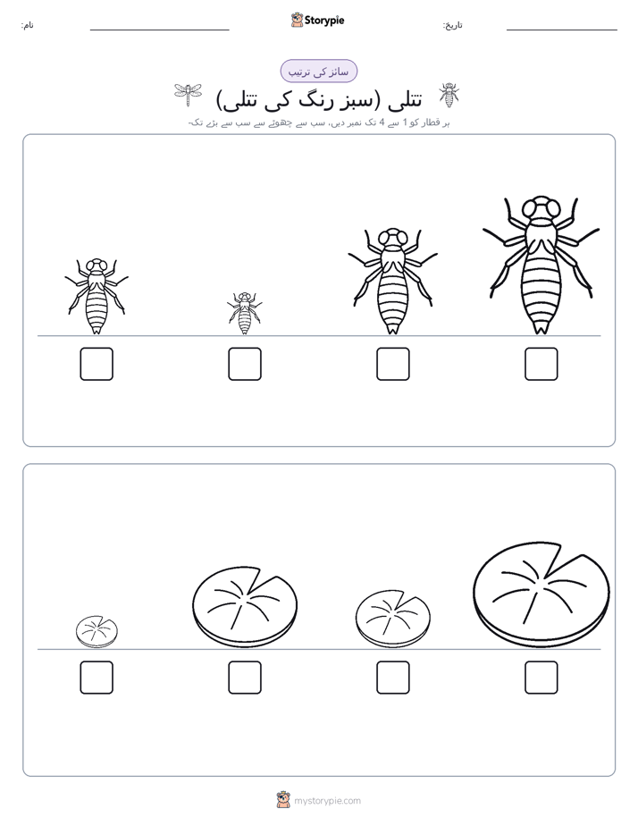 سائز کی ترتیب