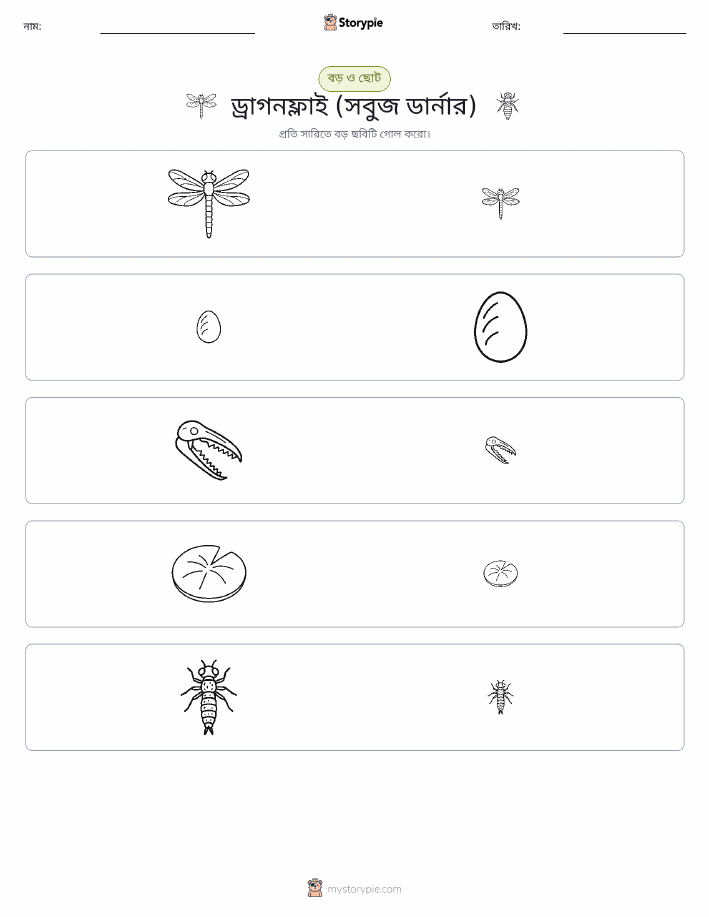সাজানো
