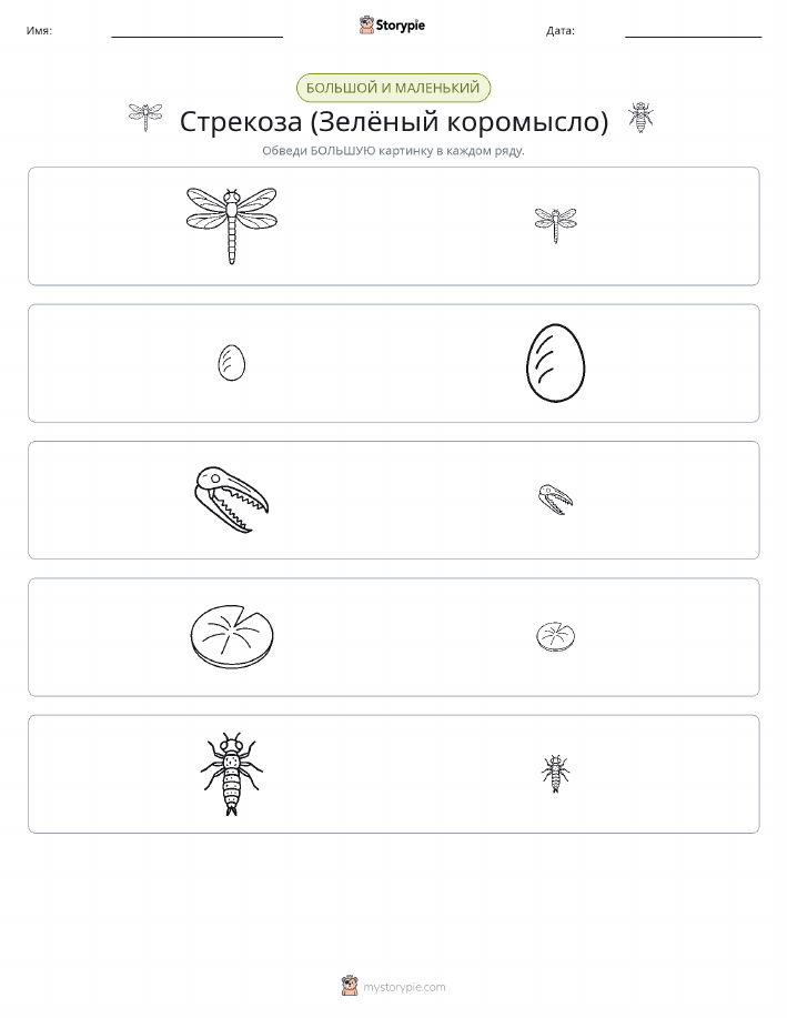 Сортировка