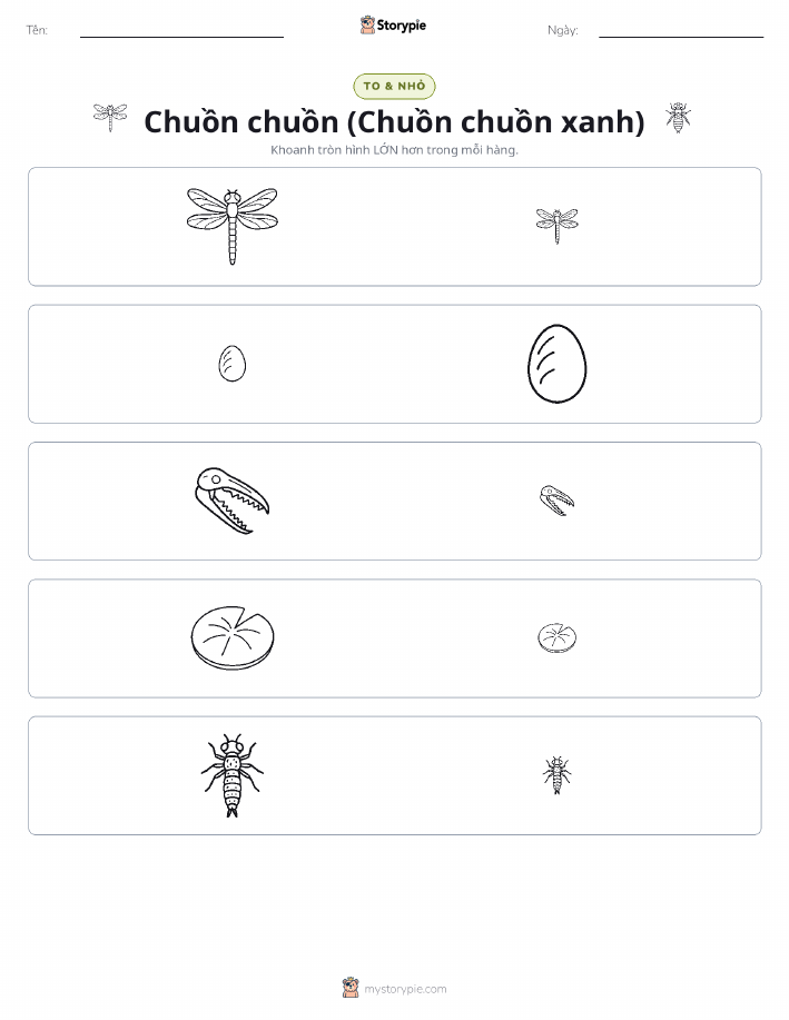 Phân Loại