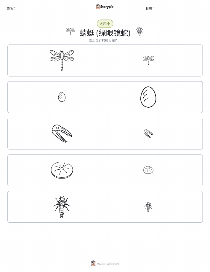 分类