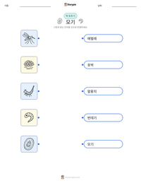 모기 인쇄 가능한 워크시트 미리보기
