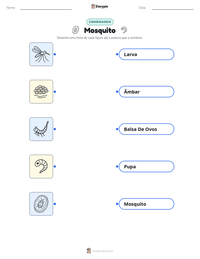Prévia da folha de atividades imprimível Mosquito