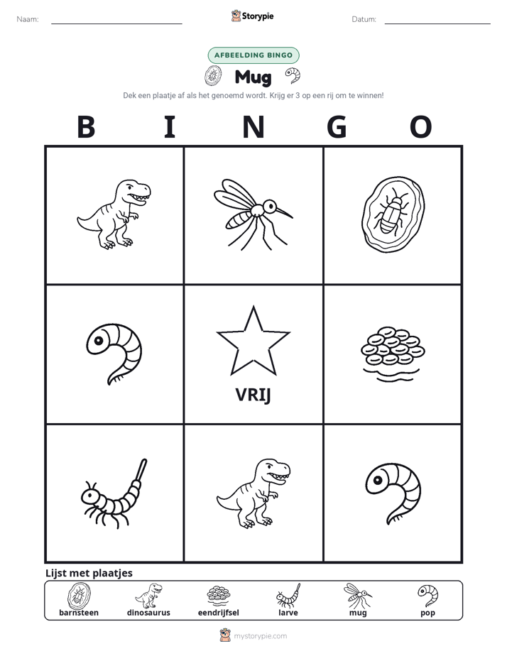 Afbeelding Bingo