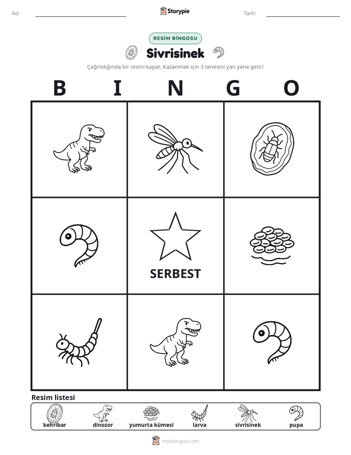 Resim Bingo