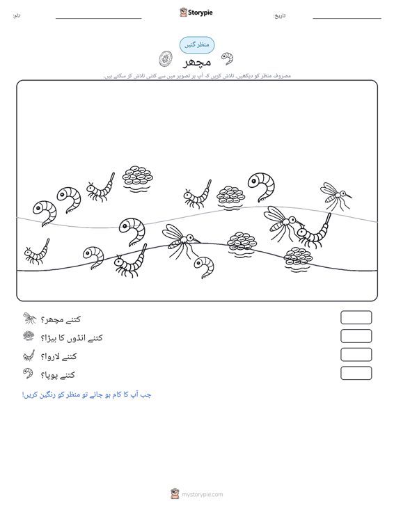 گنتی کا منظر