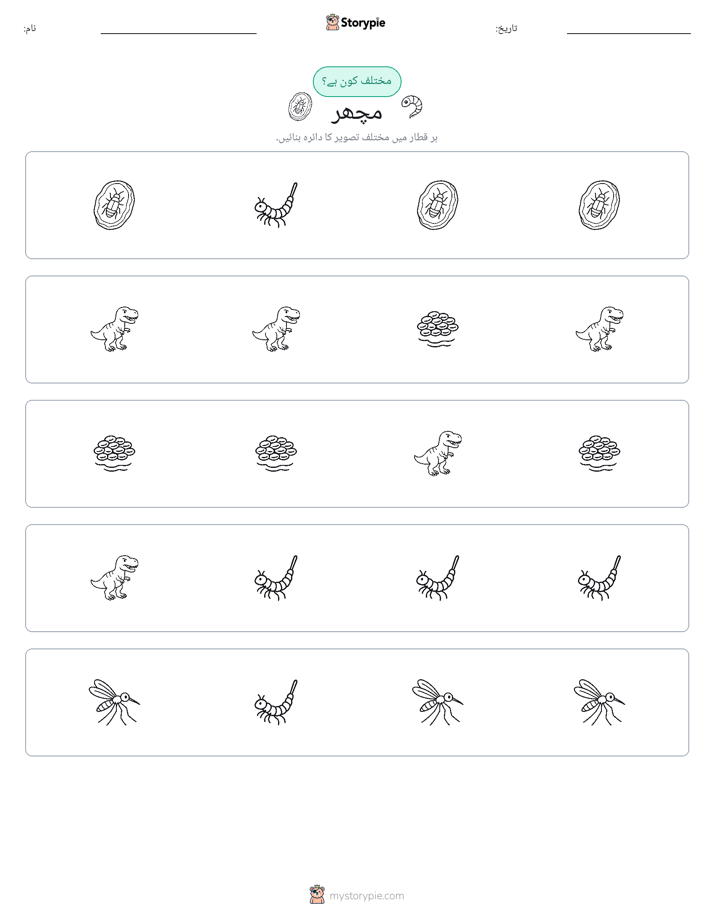 عجیب ایک