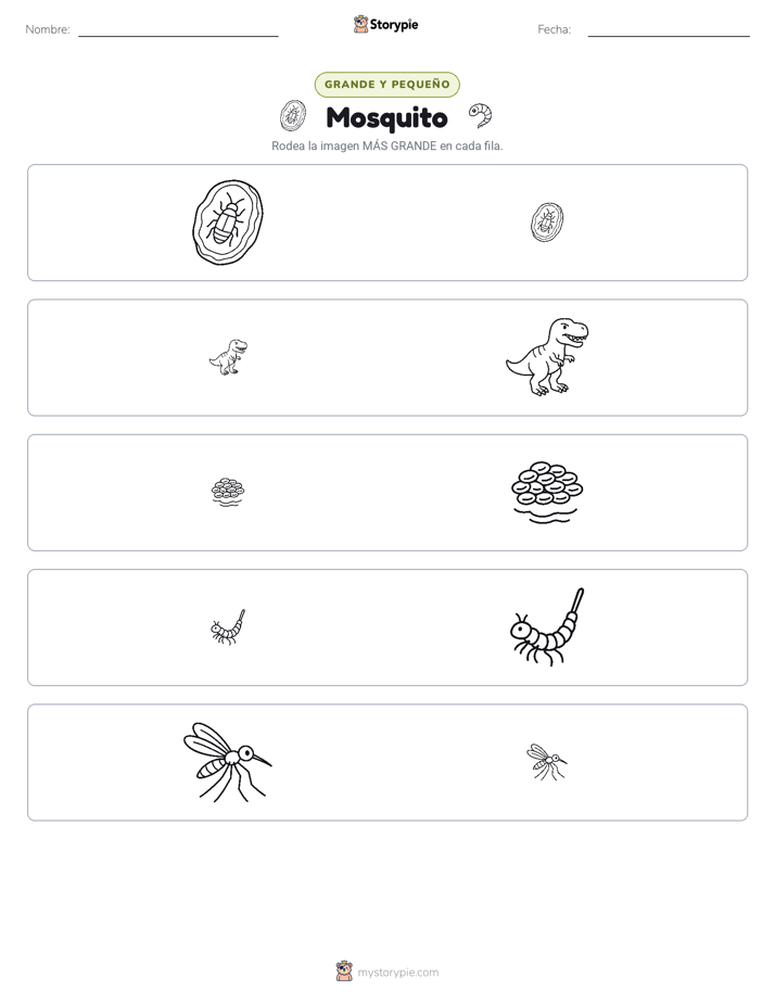 Clasificación