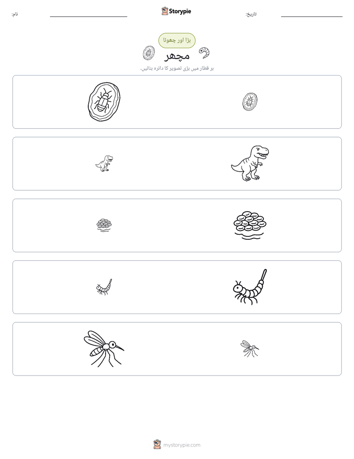 ترتیب دینا