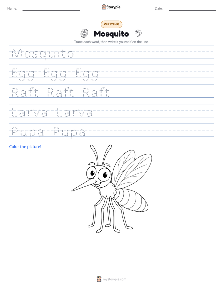 Writing Practice