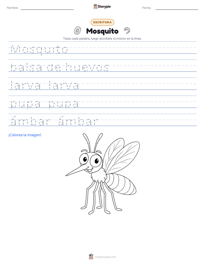 Práctica de Escritura