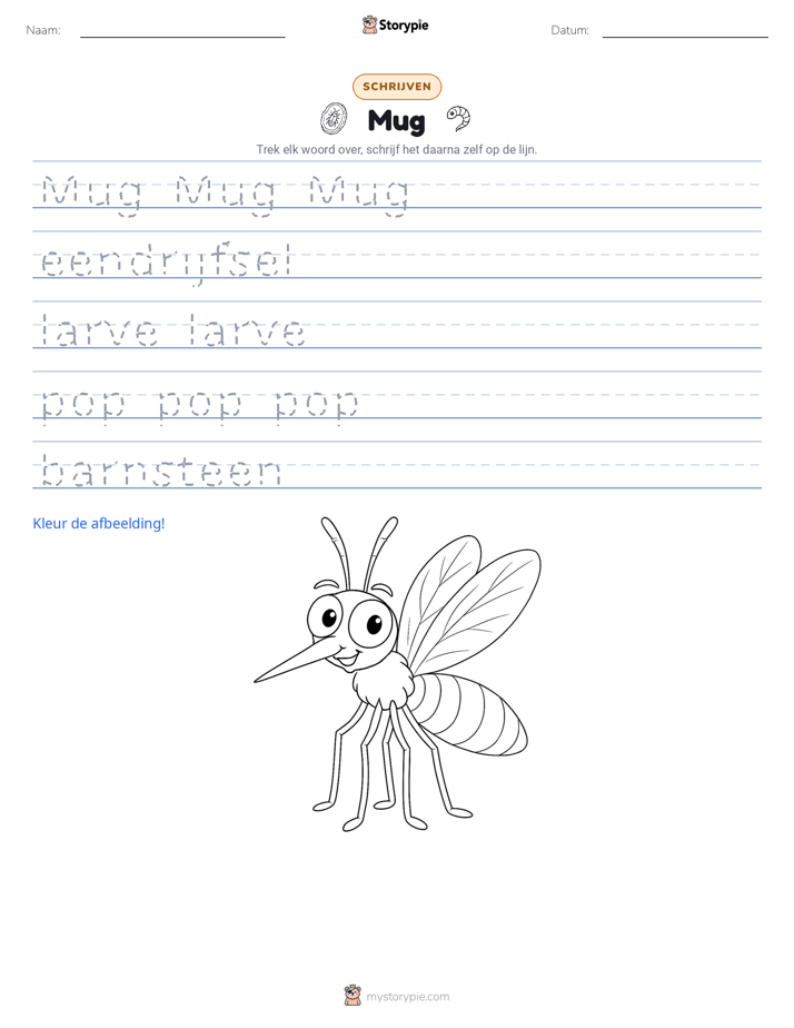 Schrijf Oefening