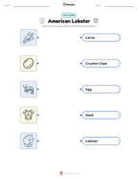 American Lobster printable worksheet for kids