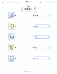 美洲龙虾 可打印工作表预览