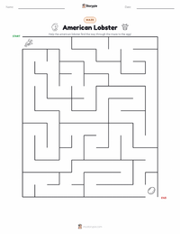 American Lobster printable worksheet preview