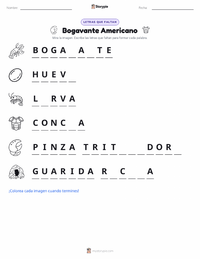 Vista previa de la hoja de trabajo imprimible de Langosta Americana