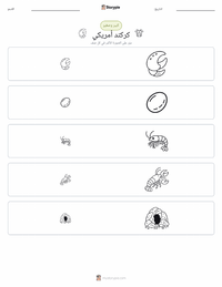 معاينة ورقة العمل القابلة للطباعة جراد البحر الأمريكي