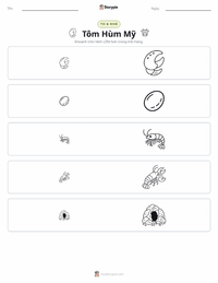 Xem trước tài liệu in sẵn Tôm hùm Mỹ