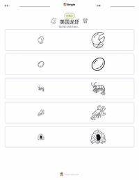 美洲龙虾 可打印工作表预览