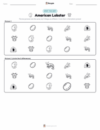 American Lobster printable worksheet preview