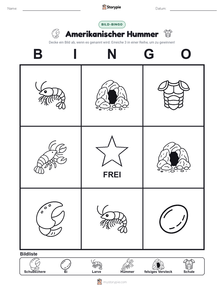 Bild-Bingo