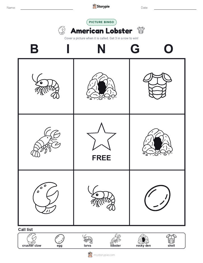 Picture Bingo