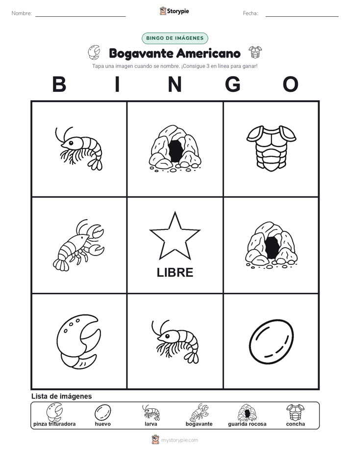 Bingo de Imágenes