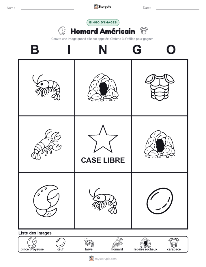 Bingo d'Images
