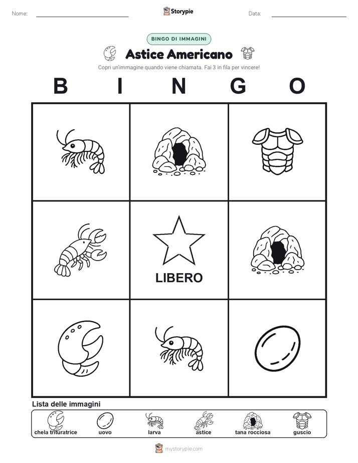 Bingo delle Immagini
